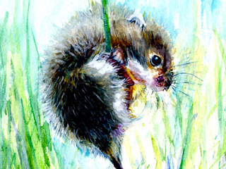 Mouse painting by Sarah Stoker
